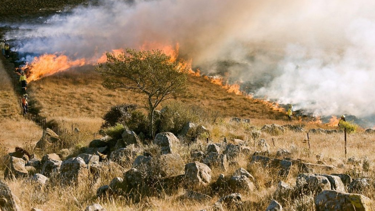 Copernicus: gli incendi nella Penisola Iberica generano le emissioni più elevate per la Spagna dal 2003