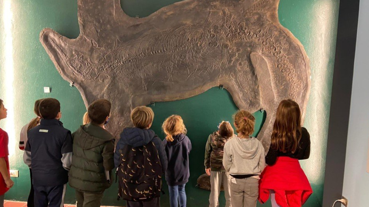 Passeggiate guidate tra le meraviglie del Museo dei Fossili Besano (VA) e del Monte San Giorgio