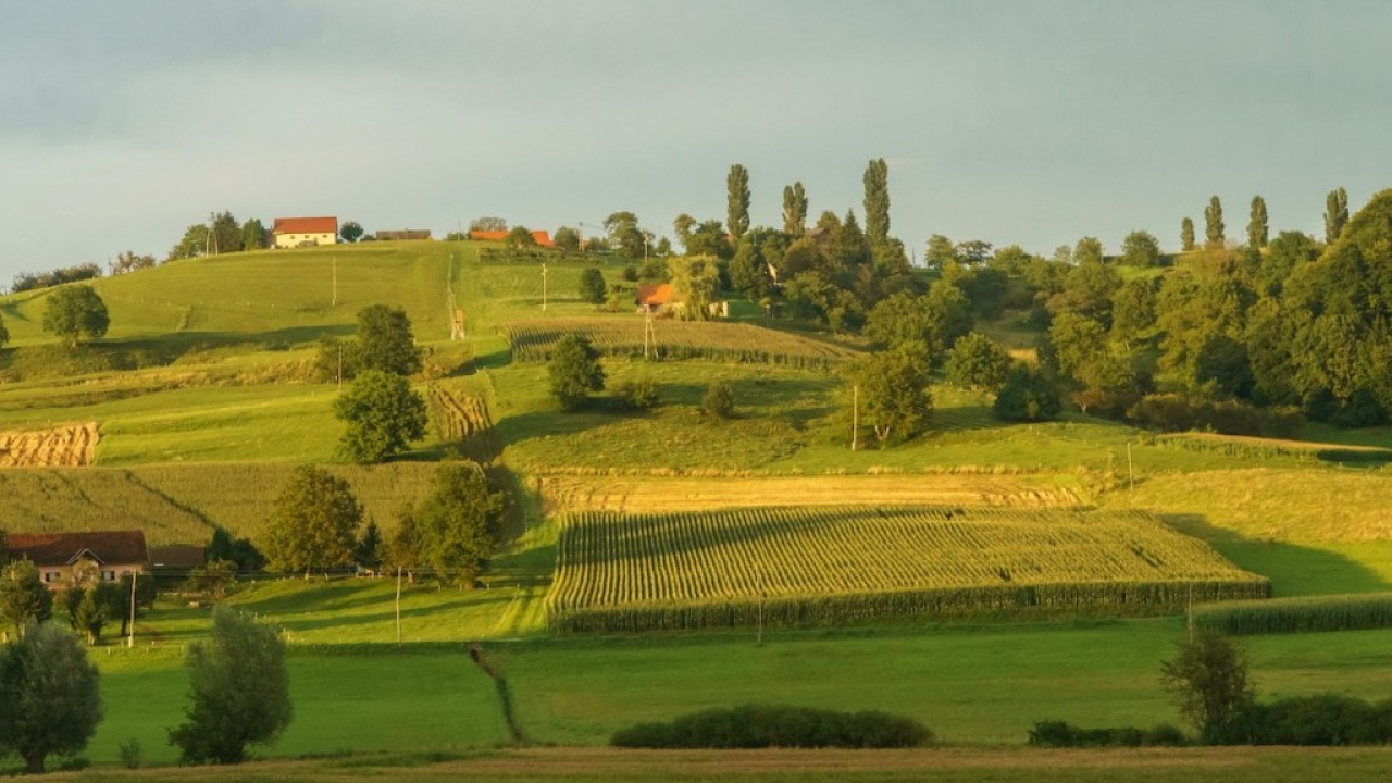 La vendemmia si vive on the road: ecco i percorsi vinicoli più iconici d’Europa