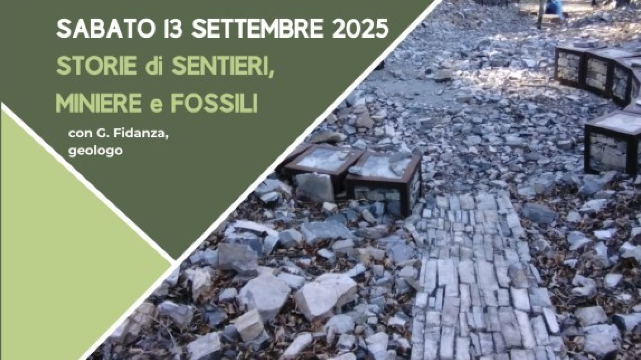 Besano, escursione sulle tracce dei fossili