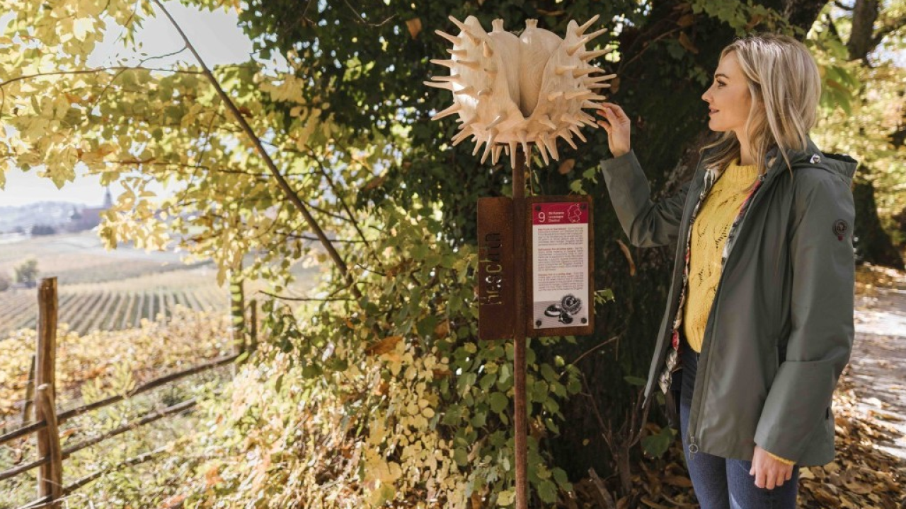 L’autunno dorato di Tirolo in Alto Adige: Törggelen, mele, castagne, vino e antiche tradizioni