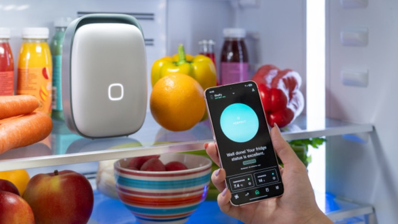 Vitesy lancia la nuova versione di Shelfy 