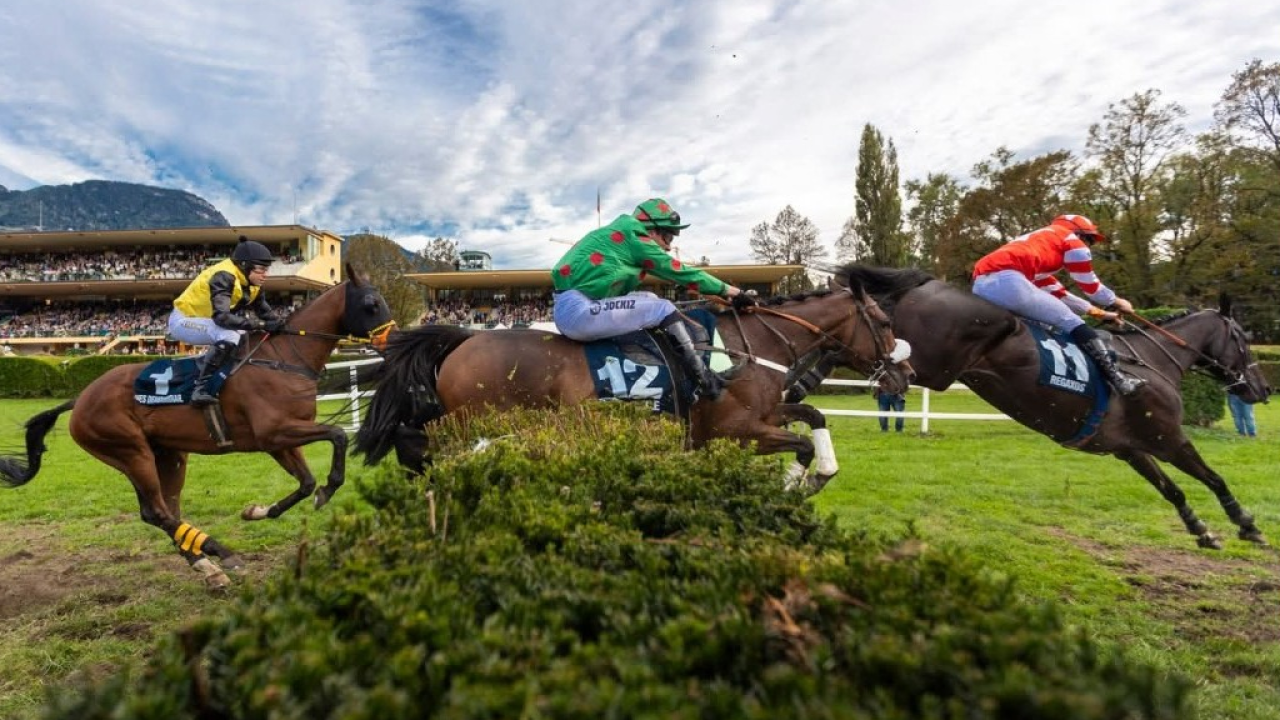 Gran Premio Merano Alto Adige: ippica, show, degustazioni e tanto altro ancora