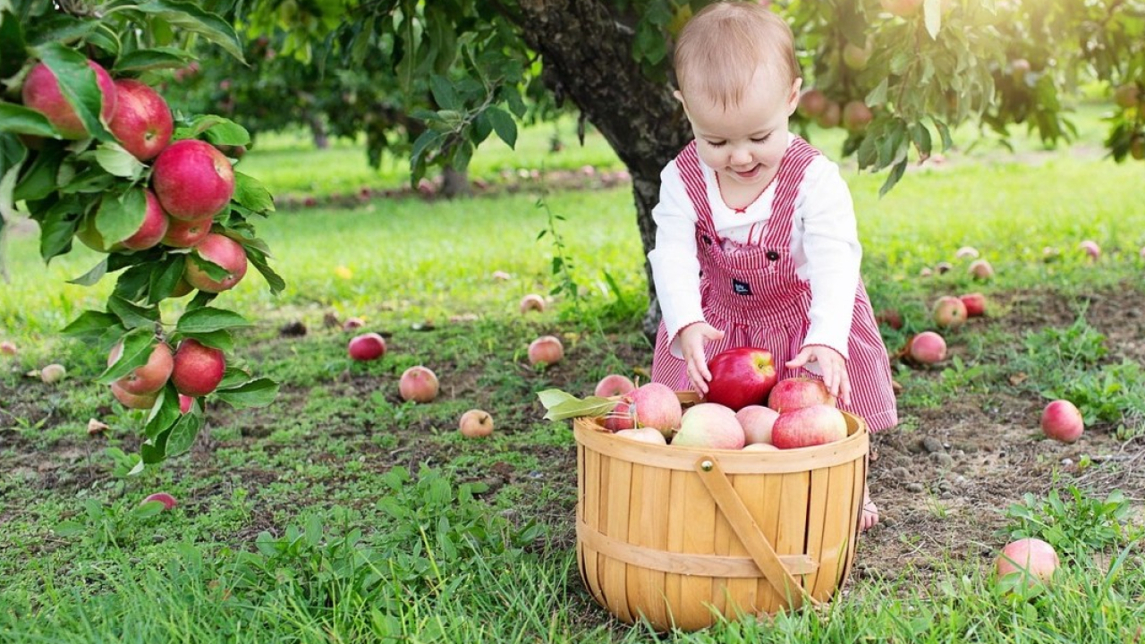 Sole di novembre a Merano, per ritmo slow, fra relax e cura di sé
