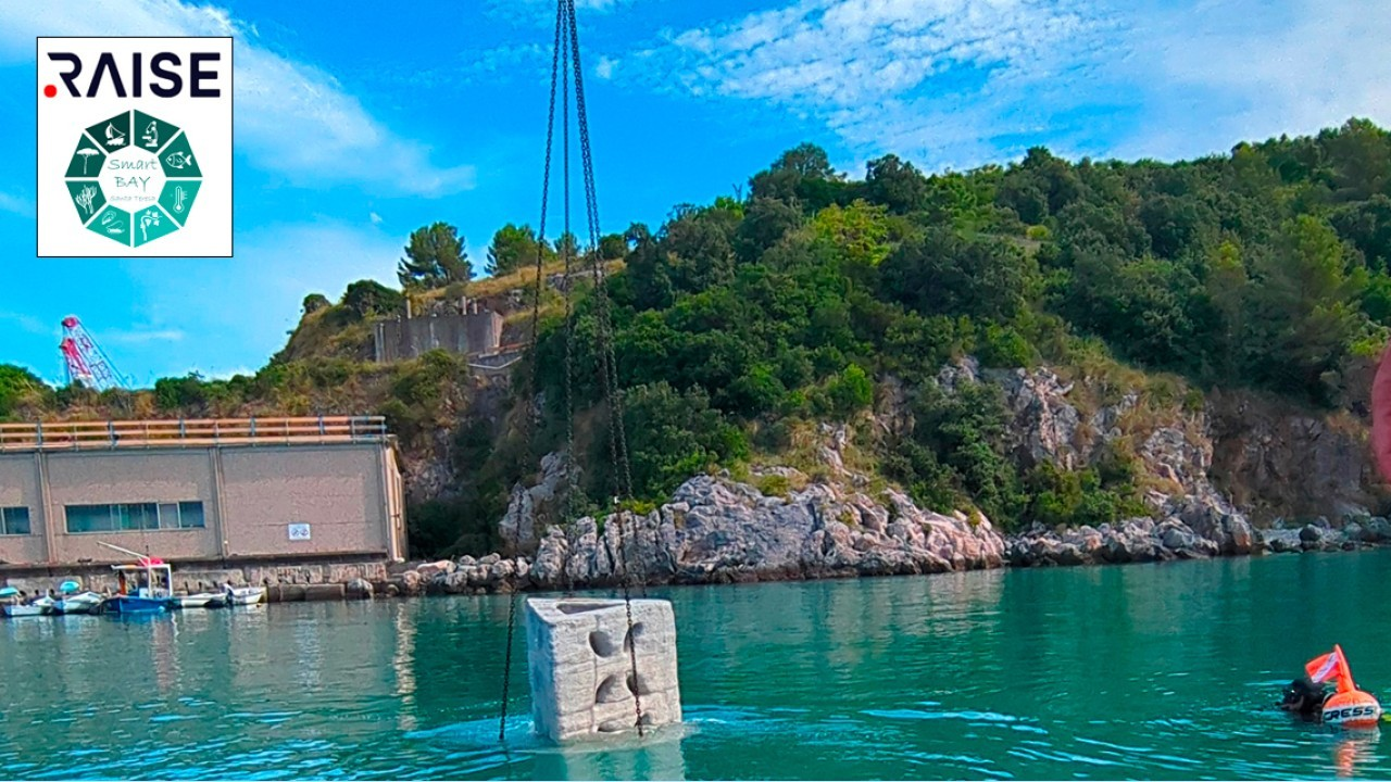  Liguria, installati i primi “reef” ENEA per rigenerare il mare