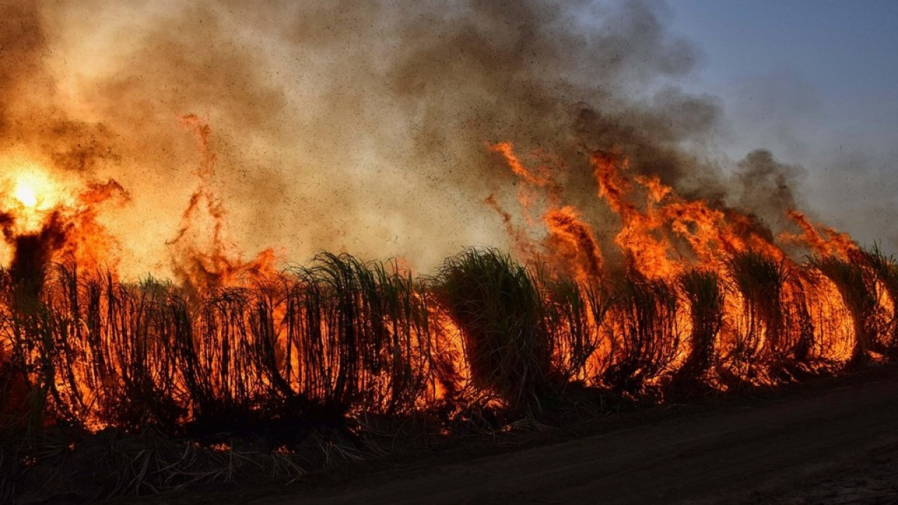 Clima e incendi: ogni anno nel mondo va a fuoco il 3% delle terre emerse