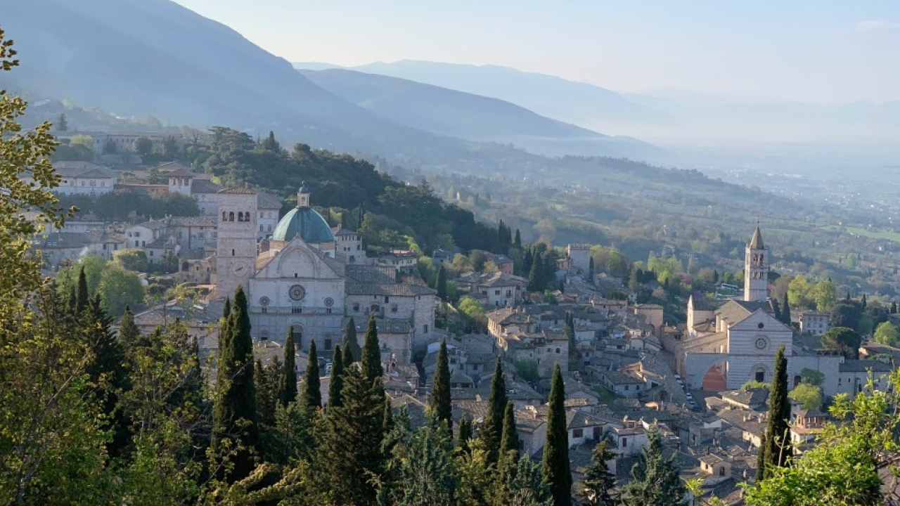 Il cibo tra cultura e sviluppo sostenibile e la situazione degli allevamenti in Ue: se ne parla al 
