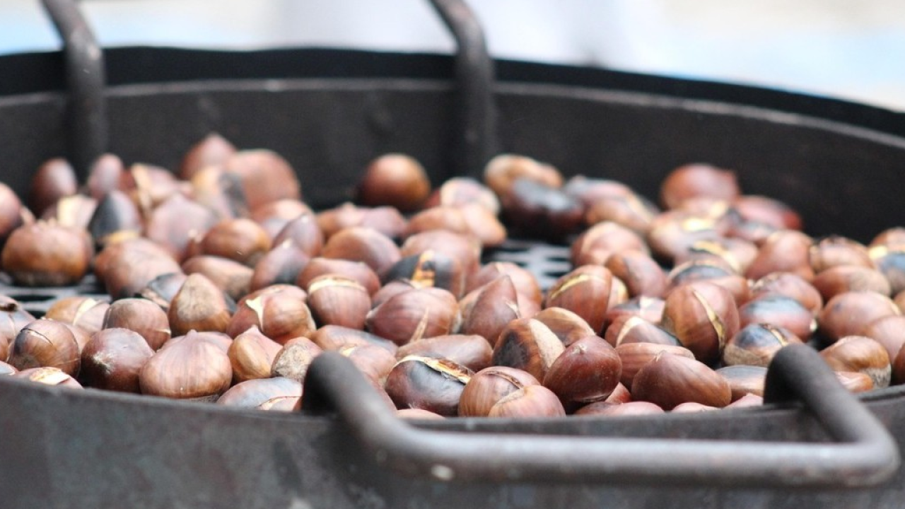 Il Törggelen: sabato 4 ottobre dalle 18.00 la cerimonia d’inizio della tradizione dell’autunno in Alto Adige  