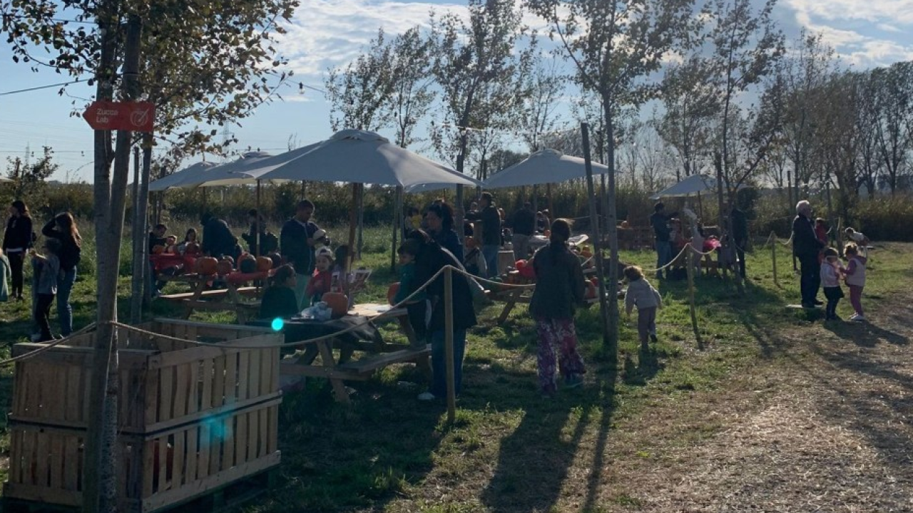 Oasi Ca' Granda Zucca Land: il campo di zucche nel cuore di Milano