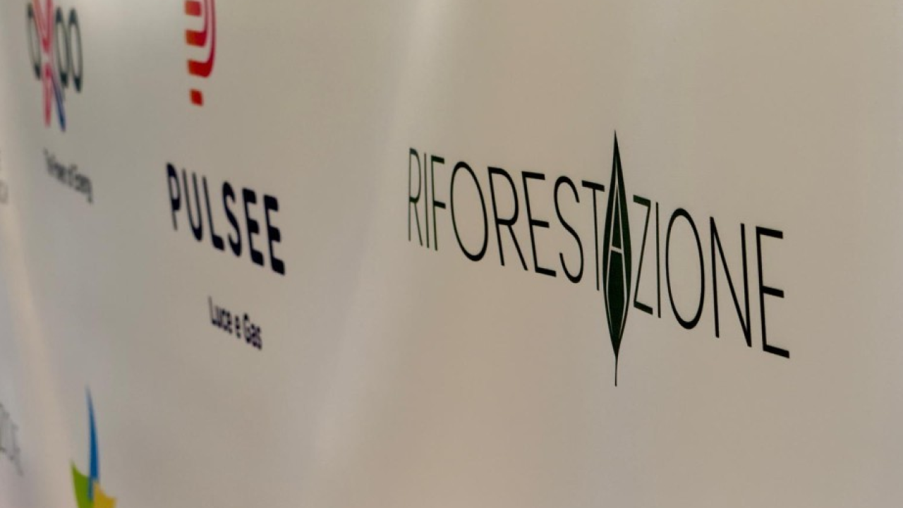 Venezia, 31 mila alberi: arriva in laguna “RiforestAzione”