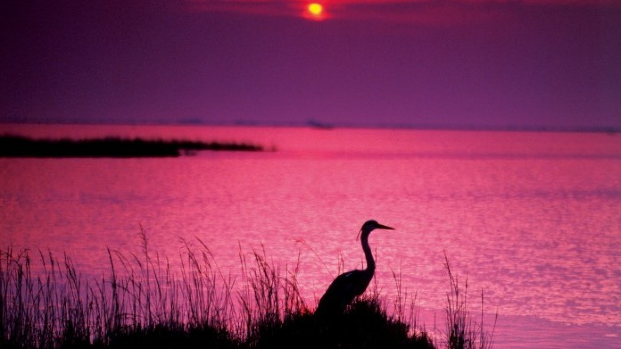 Autunno a Lignano Sabbiadoro tra trekking, laguna e assaggi in cantina