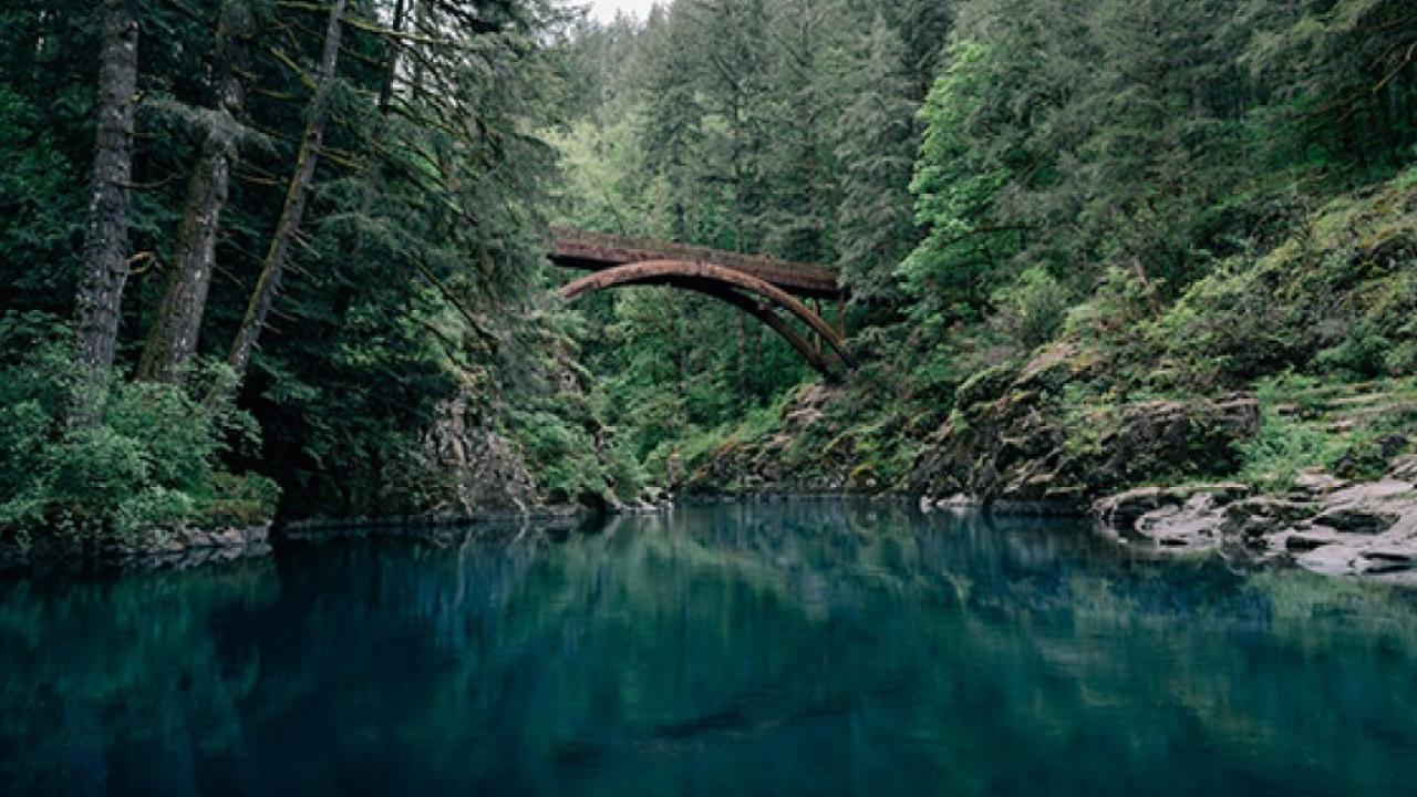 KIBO: un viaggio da Boston a Washington passando per New York City, in treno