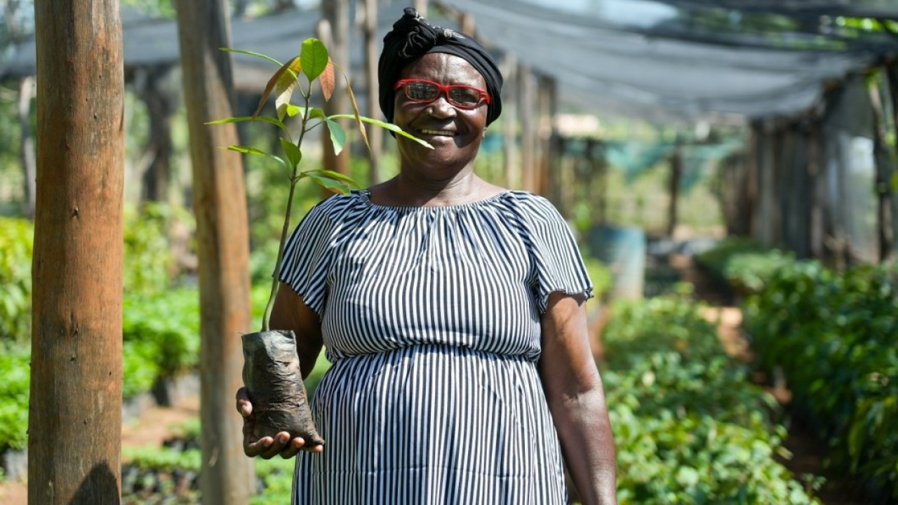 Treedom e Fondazione AIRC di nuovo insieme per piantare alberi e sostenere la ricerca