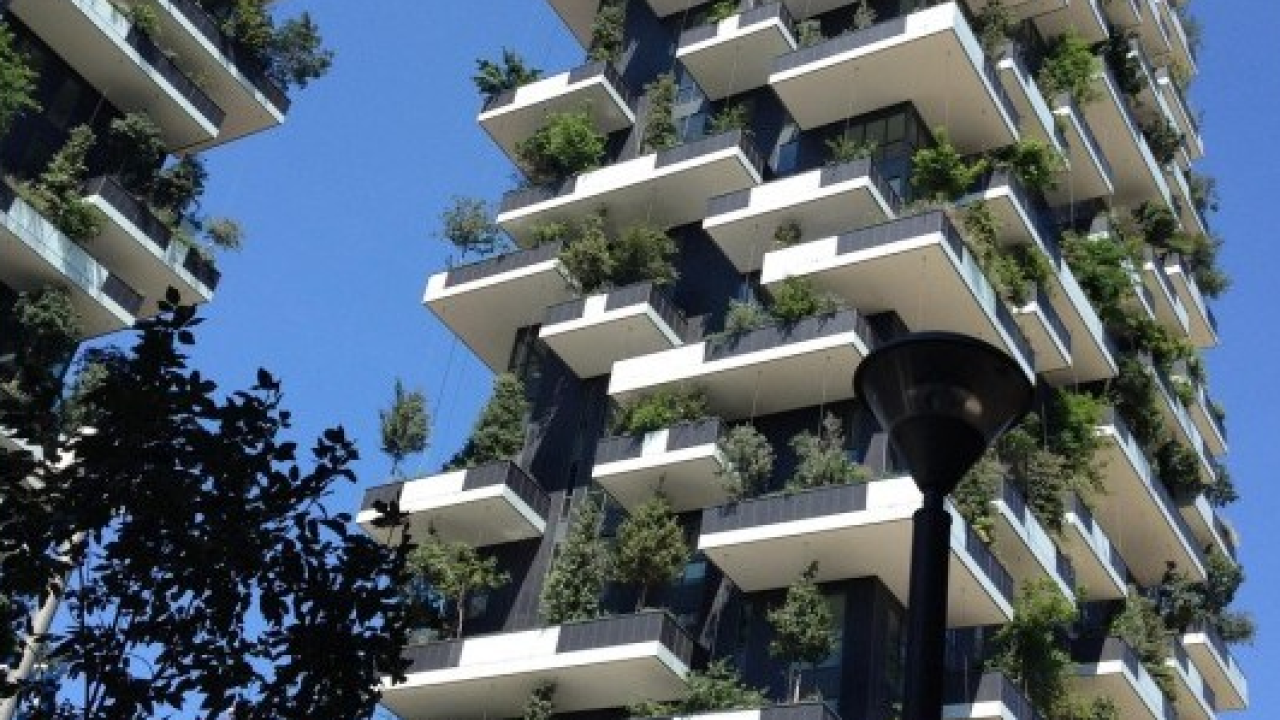 Il lusso della biodiversità: ora i quartieri più ricchi hanno più natura