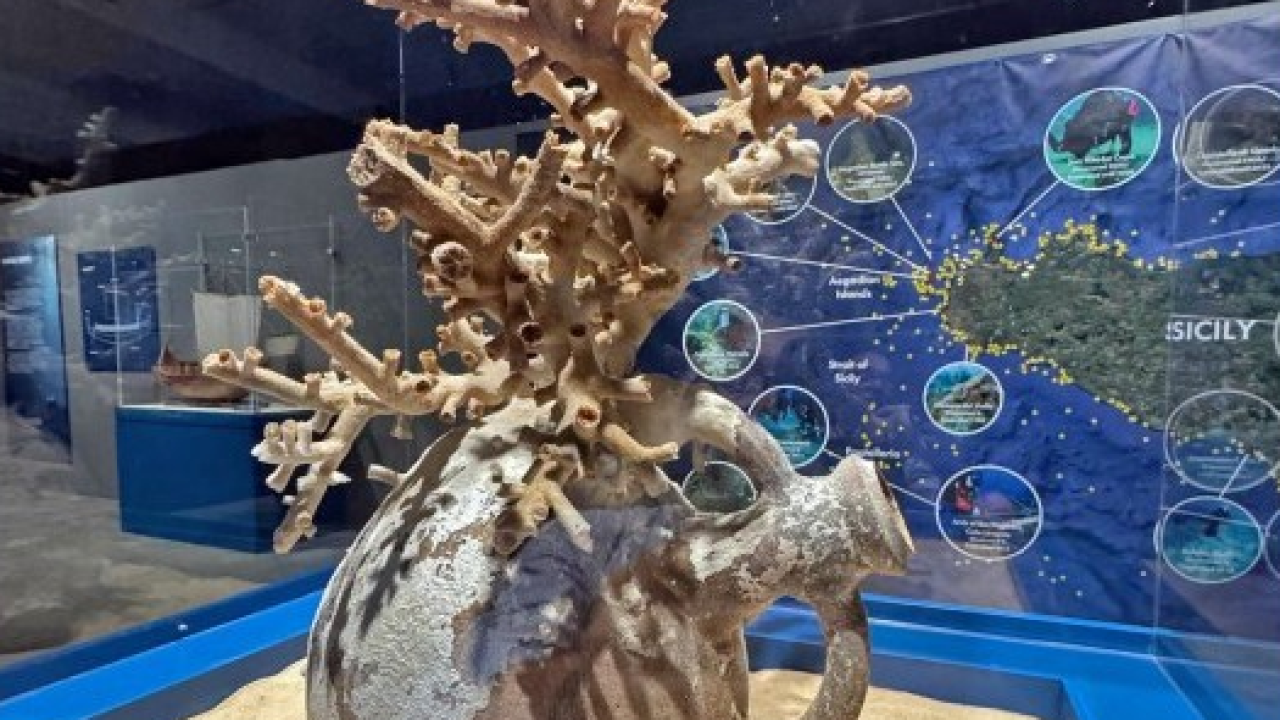 RAISE e la Regione Siciliana portano i fondali dell’Isola in mostra negli USA