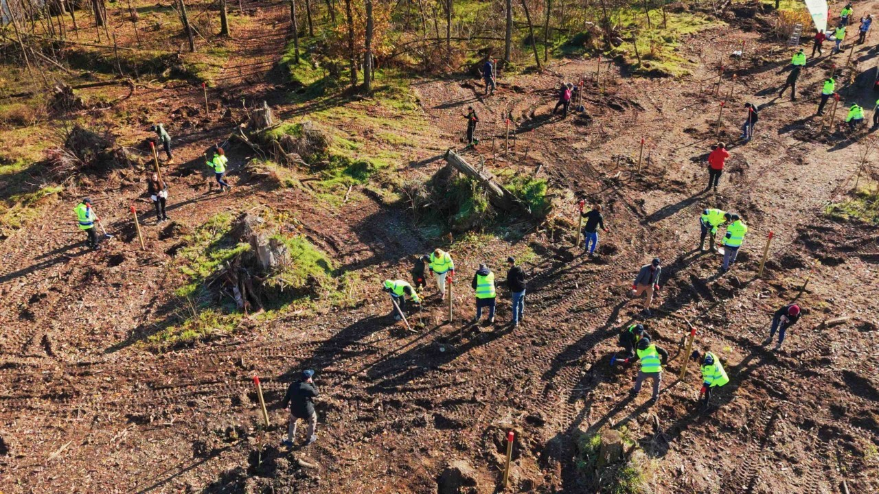 Isola dell’Ochetta (Parco Ticino) rinasce grazie a Microsoft Italia e Rete Clima