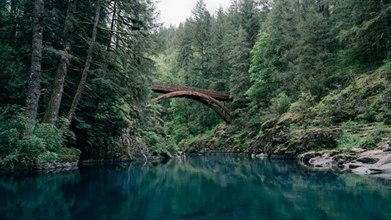 Yankee Doodle: da Boston a Washington  passando per New York City. In treno