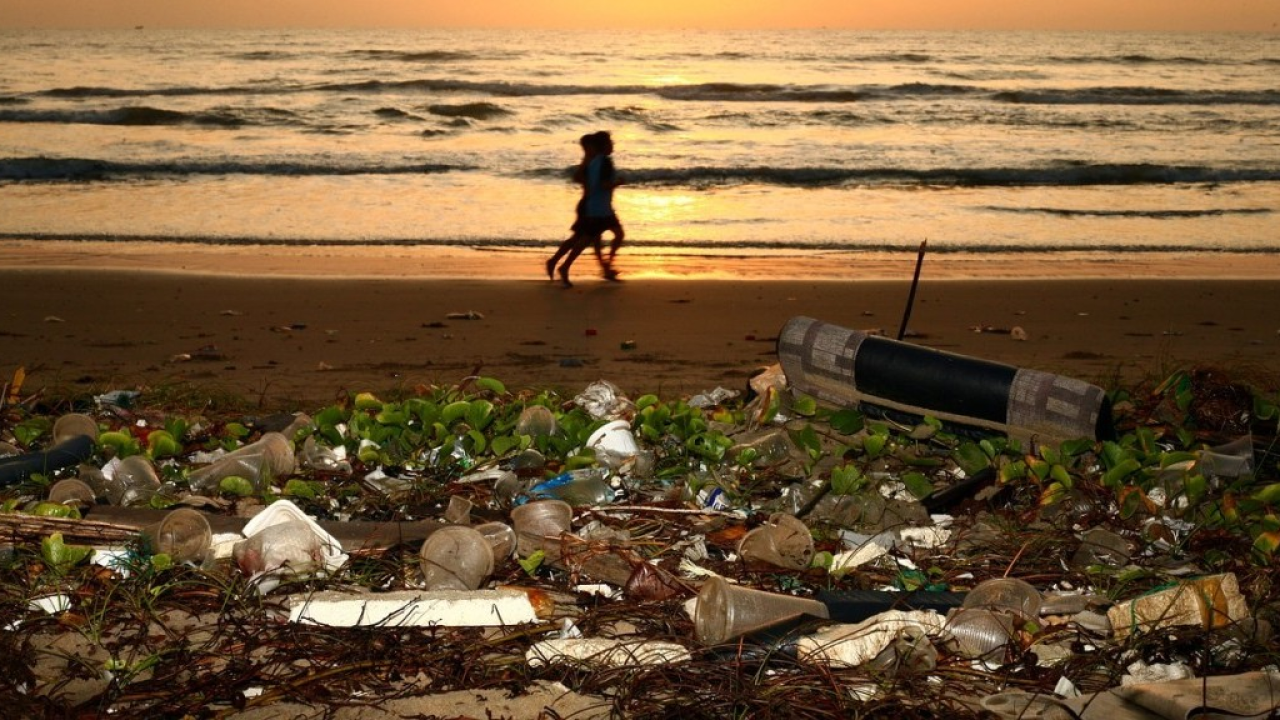 Plastic Free e Second Life: un patto per combattere l'inquinamento marino