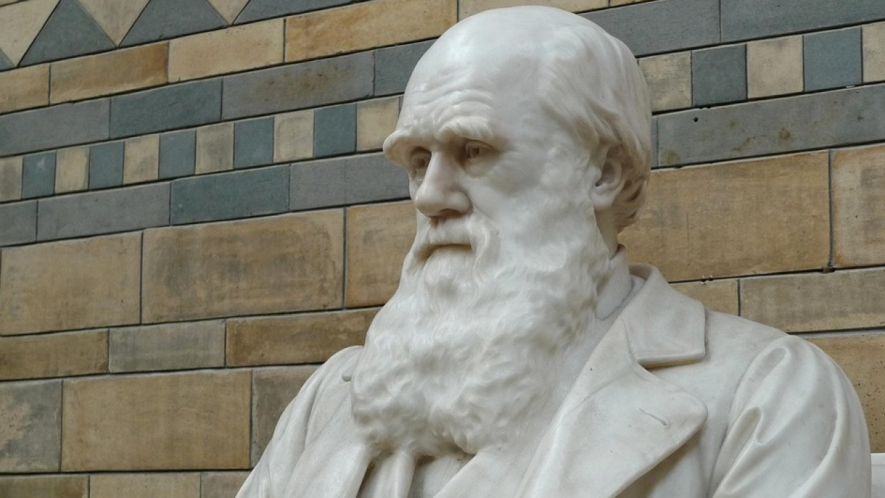  Darwin Day, WWF: l'Italia mette la marcia indietro sulla scienza mentre il mondo la celebra