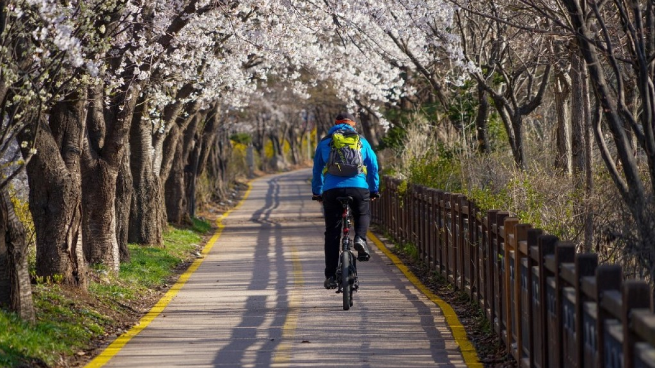 Cicloturismo e mobilità attiva al centro della Fiera del Cicloturismo, a Padova dal 27 al 29 marzo