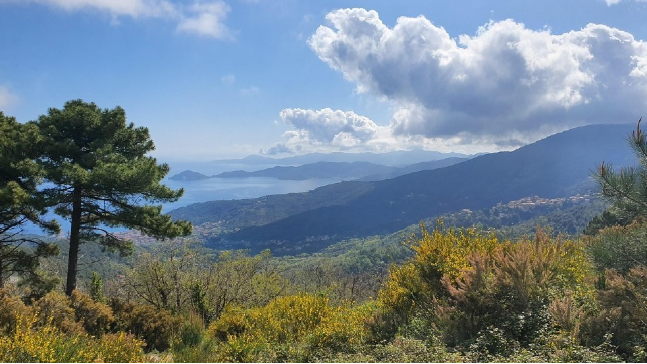 La Via dell'Essenza: il programma delle escursioni 2026