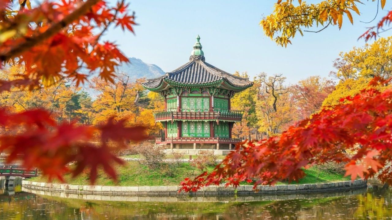 Ciliegi in fiore e cultura pop, le due anime della Corea del Sud