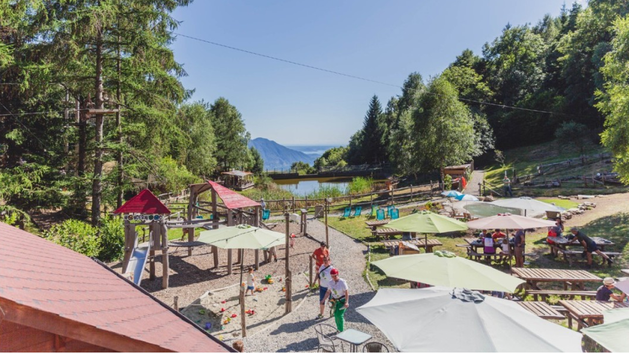 Parchi Wonderwood: digital detox nella natura a due passi dalla città