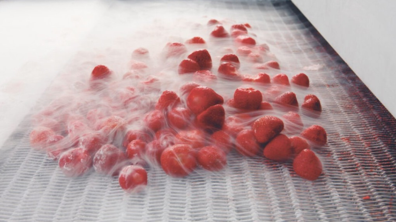 Spreco alimentare: solo il 2,2% del cibo buttato dagli italiani è costituito da surgelati