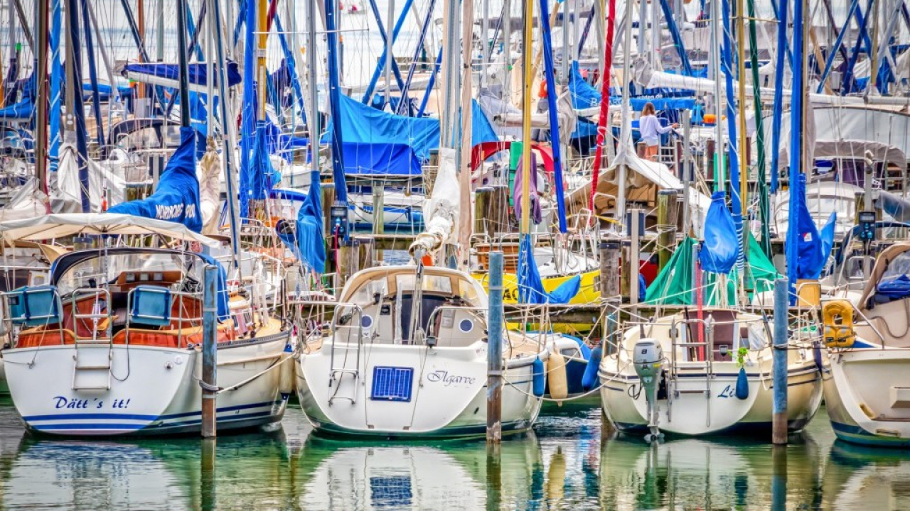 Livorno a Primavera: un'esplosione di vele e fiori