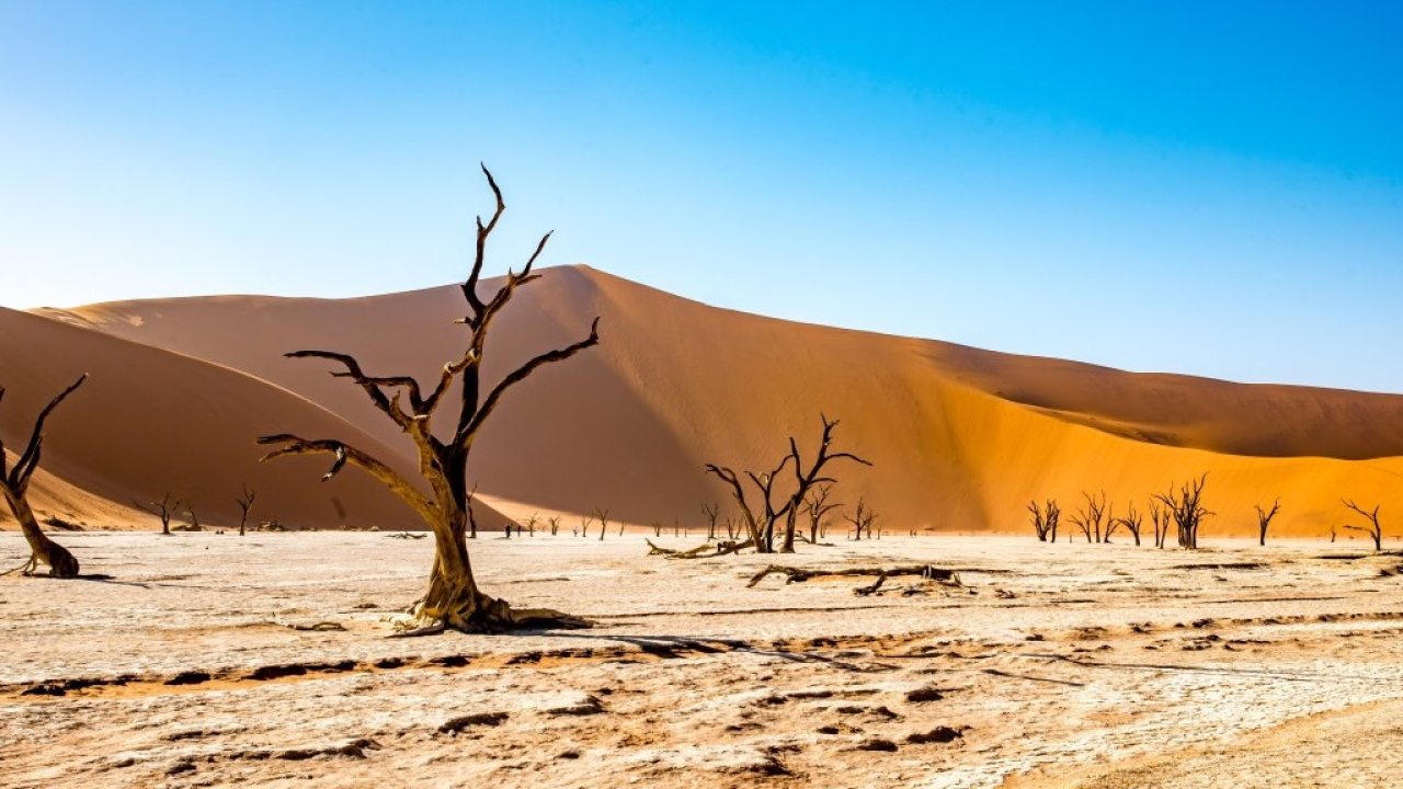 Oltre l'orizzonte: l’essenza della Namibia con l’esclusività di KIBO
