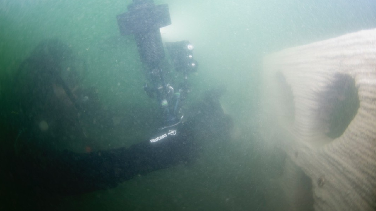 Bio-reef in 3D per rinascita del Mar Ligure: l'innovazione ENEA a Lerici