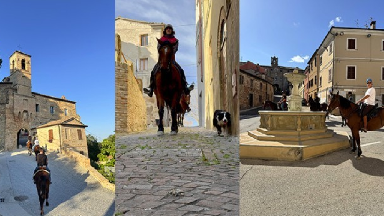 ButteroZone: le Marche autentiche si scoprono a cavallo tra borghi e sapori