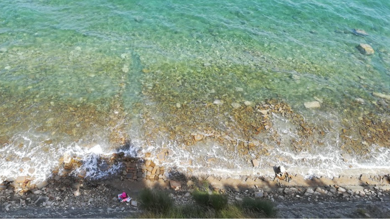 Adriatico e One Health: il microbioma costiero svela i legami tra ambiente e salute