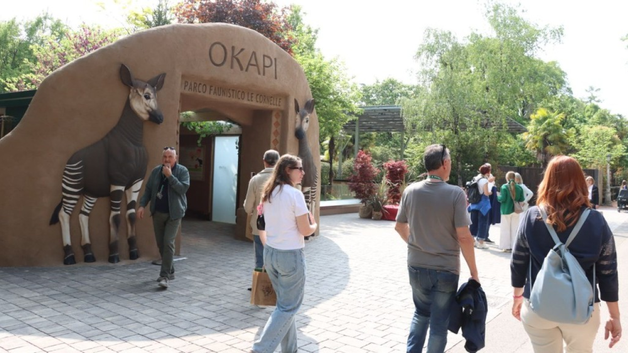 Al Parco Le Cornelle nasce “La foresta degli okapi”