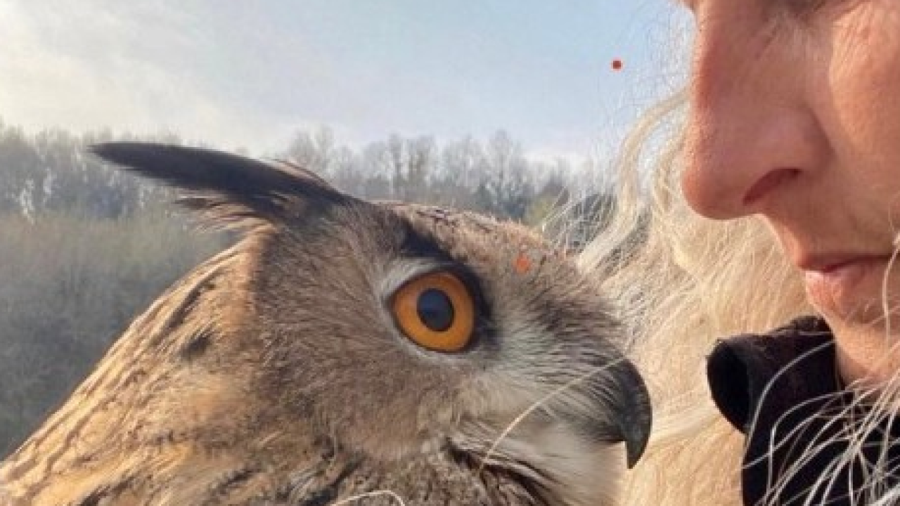 Albarella celebra la Festa di Primavera: un viaggio sensoriale tra natura e arte