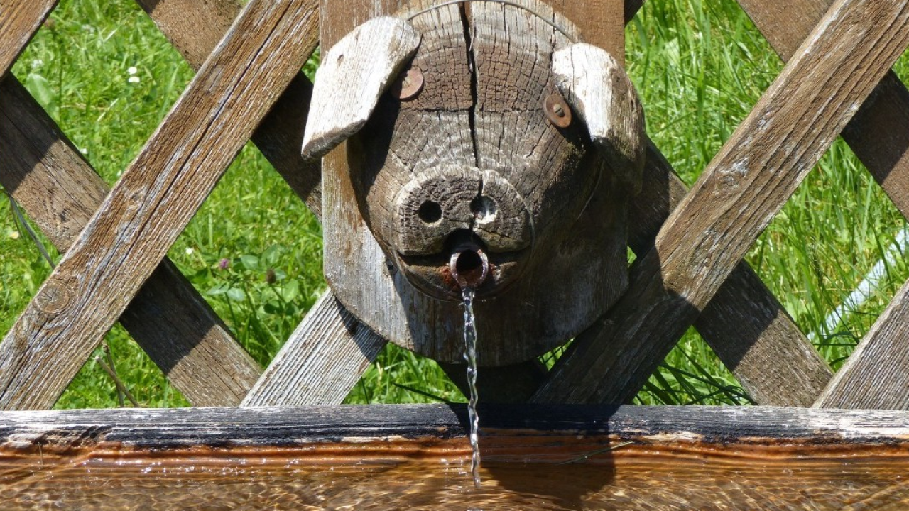 Lana in Alto Adige: quando la sostenibilità diventa un’esperienza da vivere