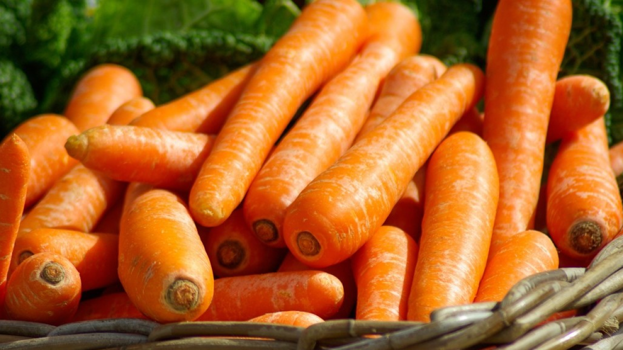 La carota: l'antica radice che accende la vista