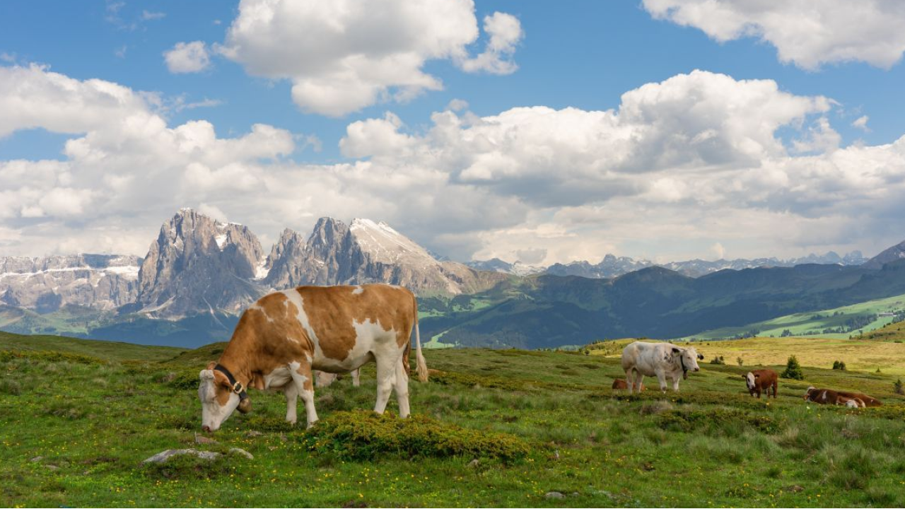Magia Golden Hour: il Lago di Carezza e l'Alpe di Siusi tra i tramonti più amati del 2026