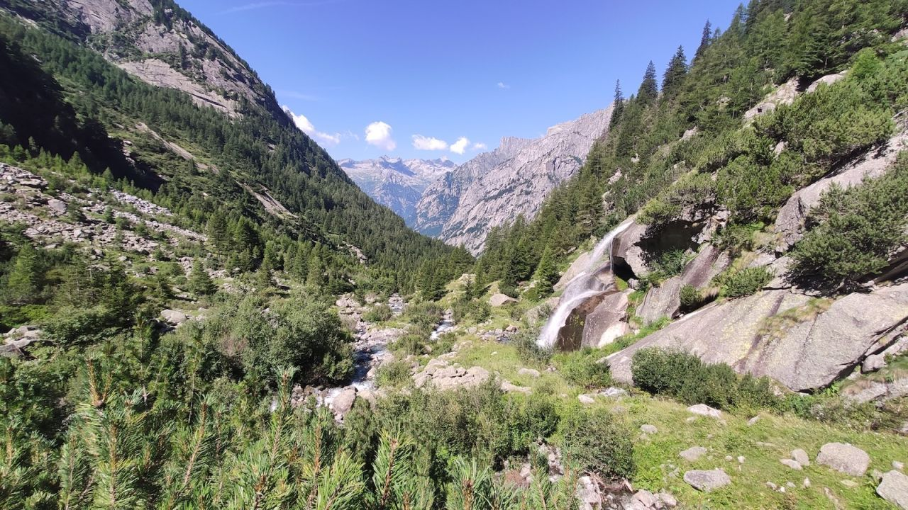 Custodi della biodiversità alpina: i parchi e le riserve della Valtellina si raccontano