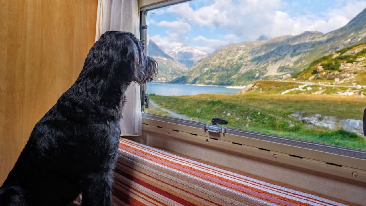 Idee per viaggiare in modo consapevole: le novità dal Salone del Camper