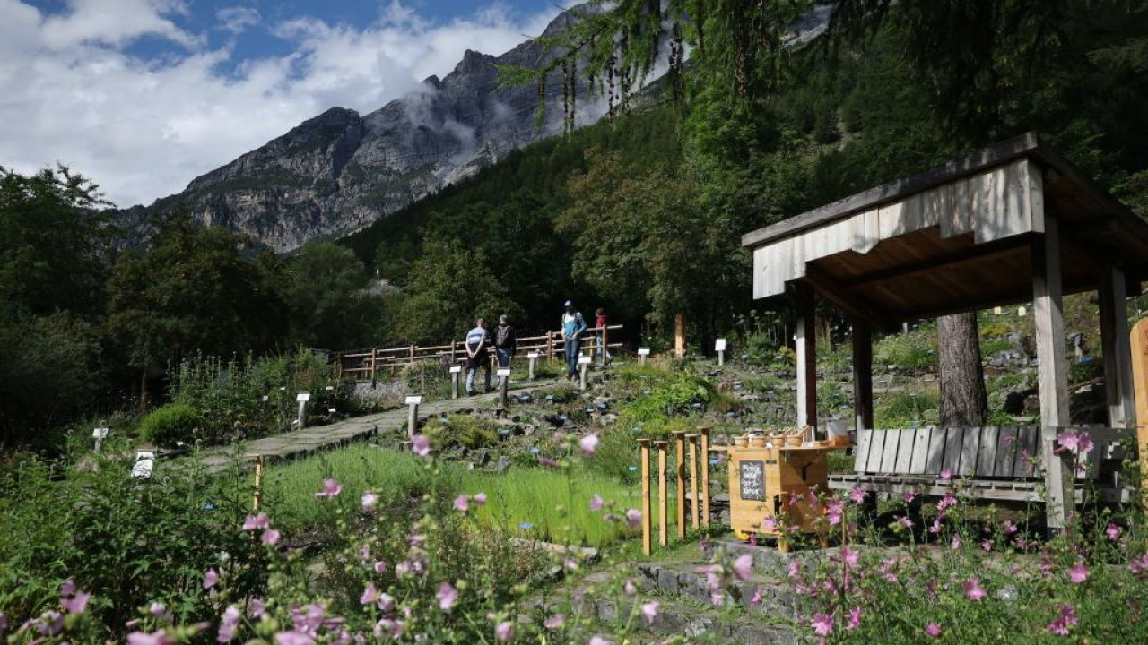 Gli Orti Botanici della Lombardia diventano 