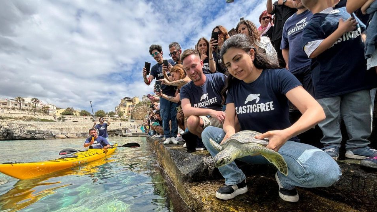 Italian Turtle Day: Plastic Free promuove liberazioni di tartarughe marine in contemporanea in tutta Italia