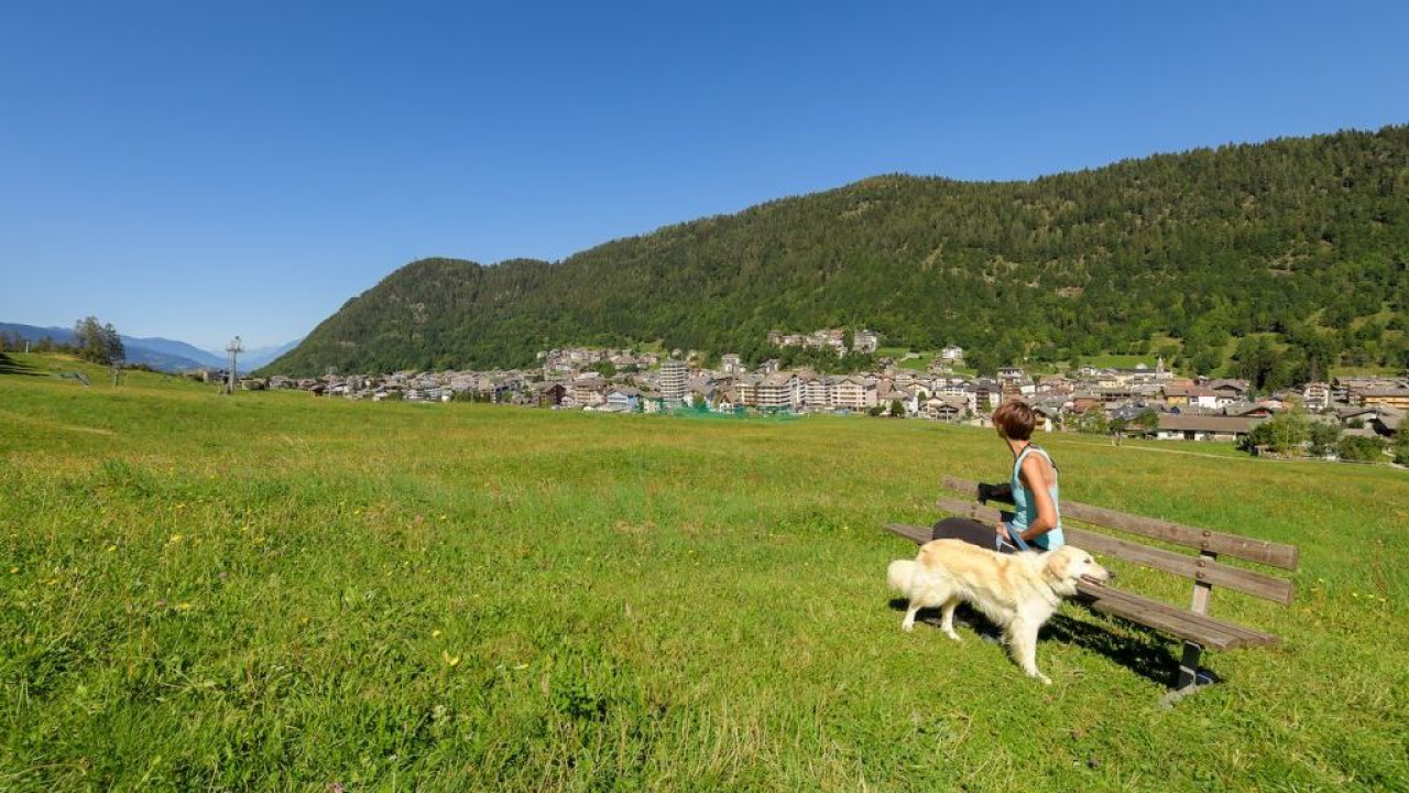 Valtellina e Valchiavenna: una vacanza a 4 zampe tra natura e avventura