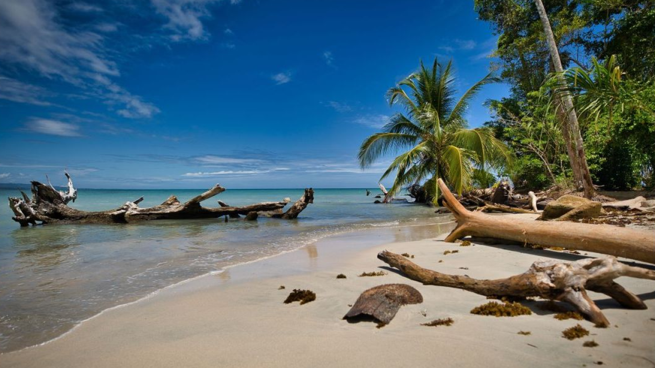 Costa Rica: un’avventura on the road nel paradiso della biodiversità