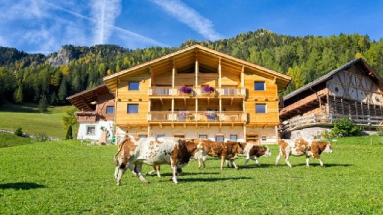 Vacanze in Alto Adige: il paradiso a quattro zampe nei masi Gallo Rosso