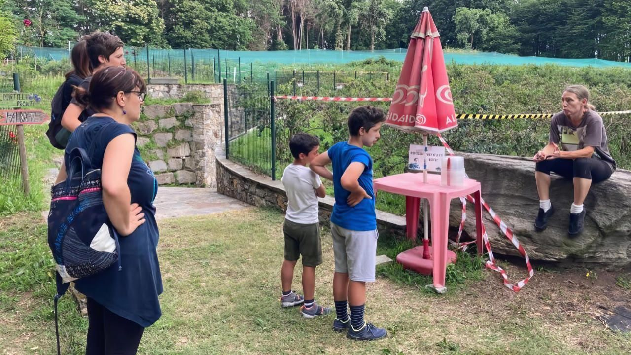 Ispra, storia e mirtilli: una mattina tra natura e sapori locali sul Lago Maggiore