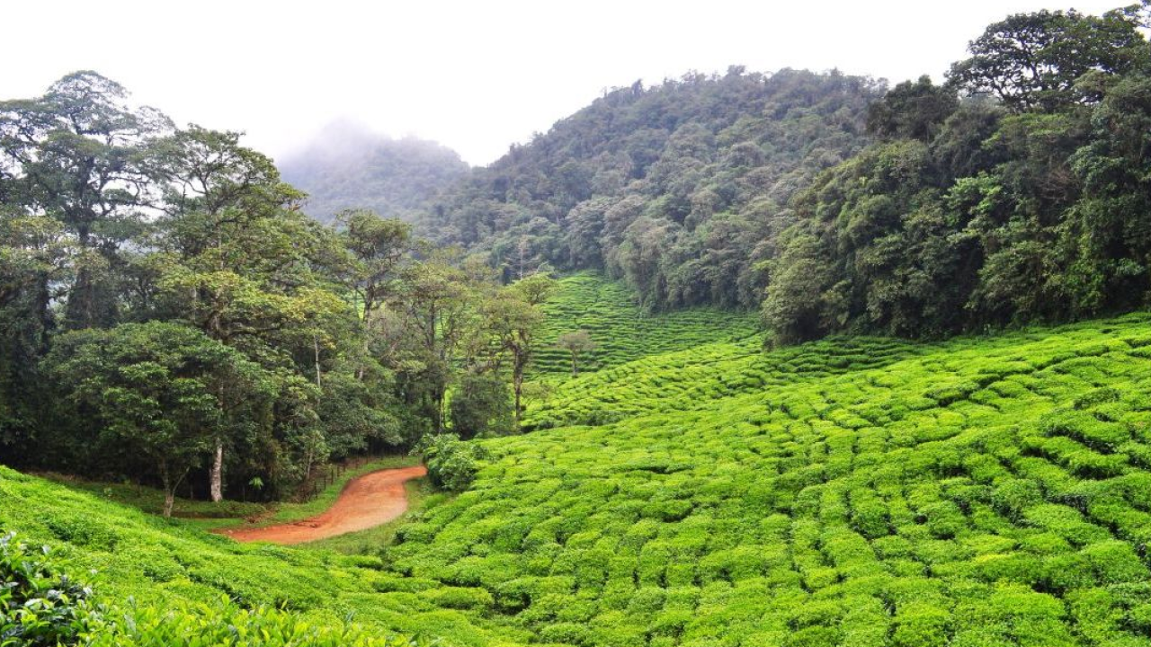 Colombia: viaggio nel realismo magico con 