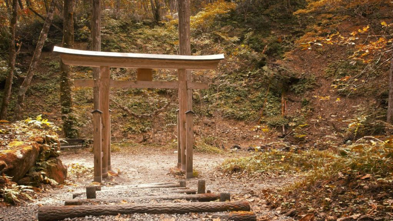 Giappone autunnale: il tour esclusivo de I Viaggi di Giorgio
