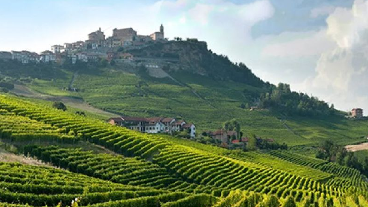 Langhe autentiche: l’esperienza sensoriale del tartufo nero a La Morra