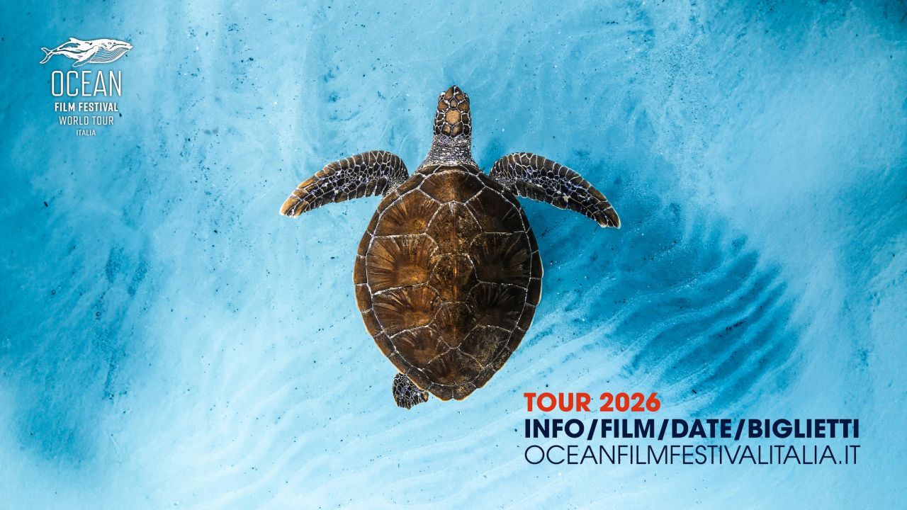 OCEAN Film Festival World Tour Italia: 10 anni di storie, avventure e amore per il mare